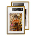 GradedGuard Metallic (BGS)
