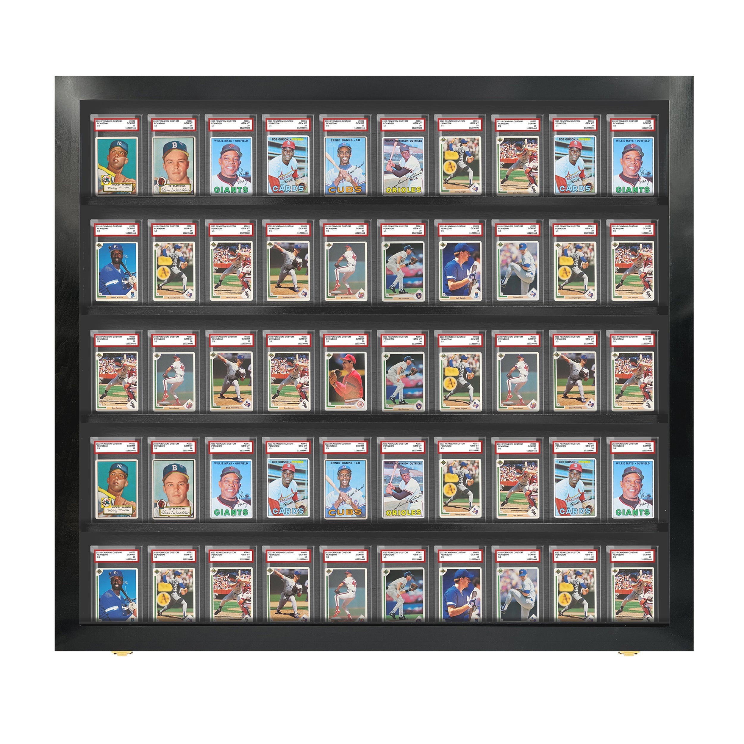 50-Slot Graded Card Display Case