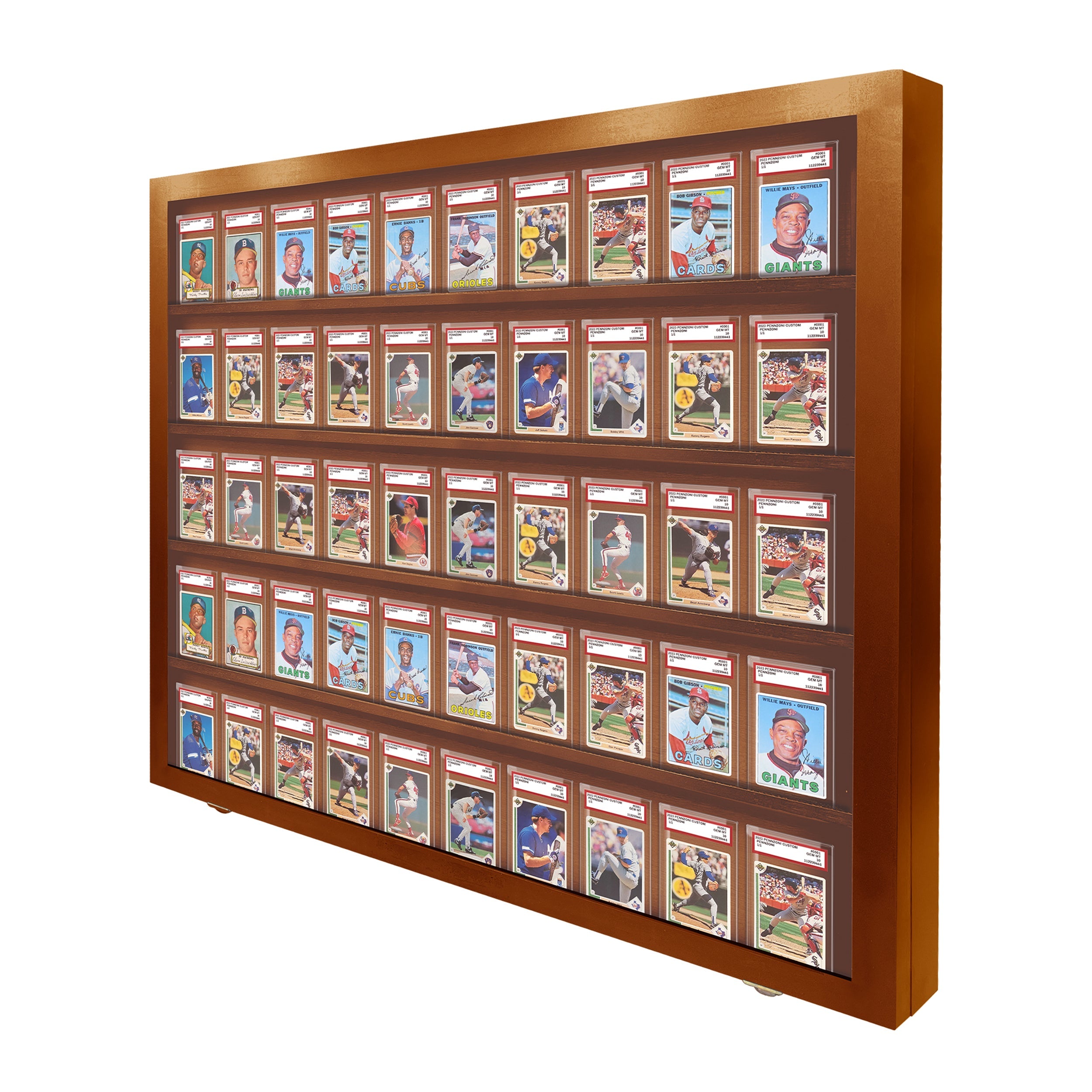 50-Slot Graded Card Display Case