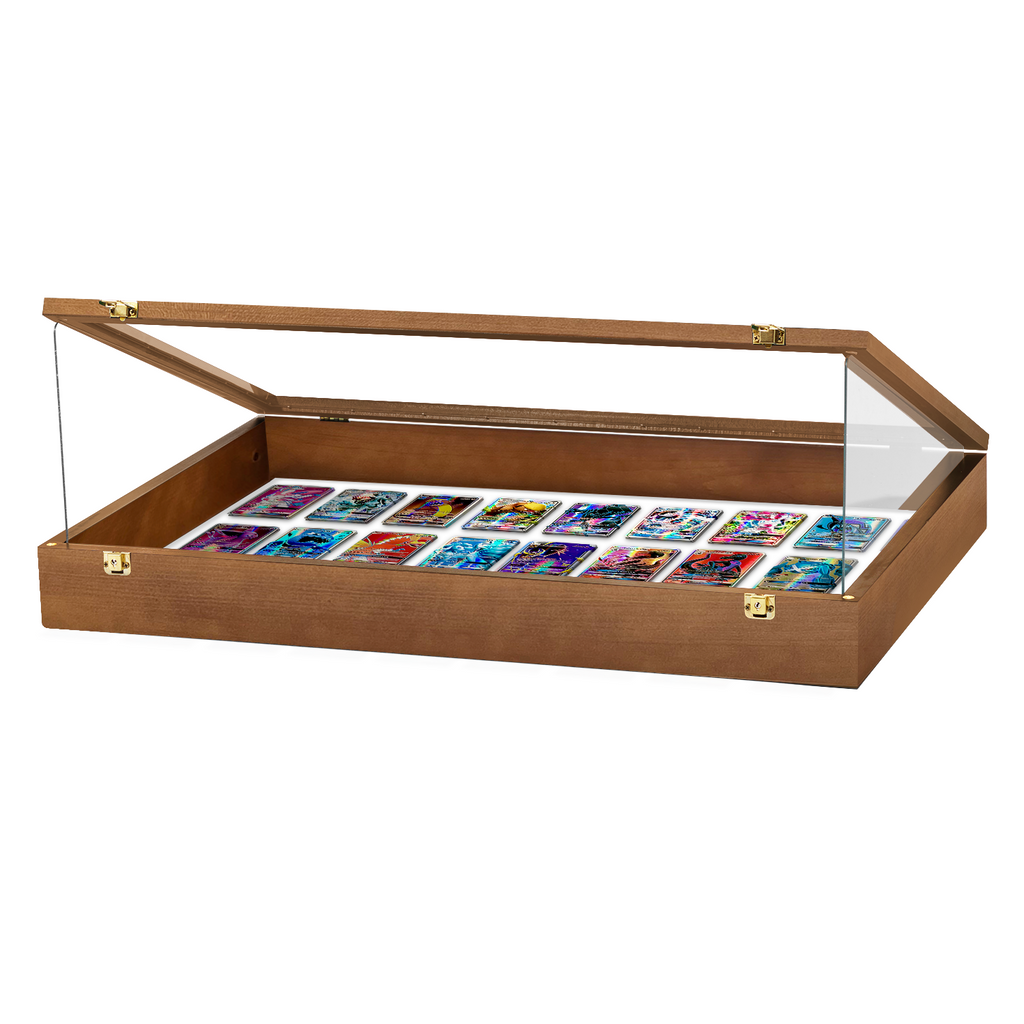 Portable Trade Show Card Display Case with Acrylic Lid