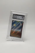 Tarountula and Fang-ex graded cards in Podium acrylic display cases on the founder's kitchen counter